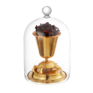 Turtle-Base Dome Glass Display with Gold Cup