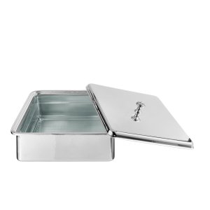 Luxe Silver-Lidded Rectangular Glass Server
