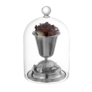 Turtle-Base Dome Glass Display with Silver Cup