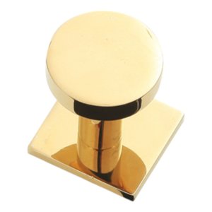 Premium Gold Wall Hook